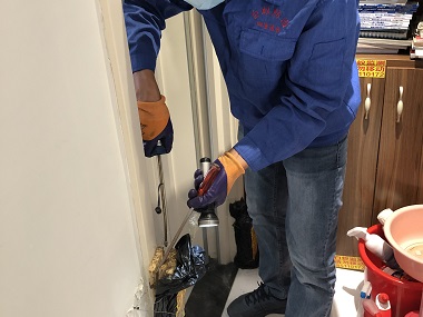 南沙灭治白蚁站住宅防白蚁，这几步千万不能少