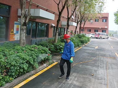 增城四害消杀公司绿化带的蚊蝇应该怎么防治