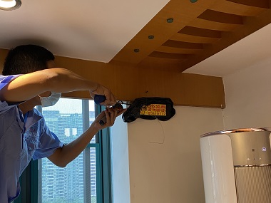 增城白蚁灭治机构居家白蚁预防全攻略!
